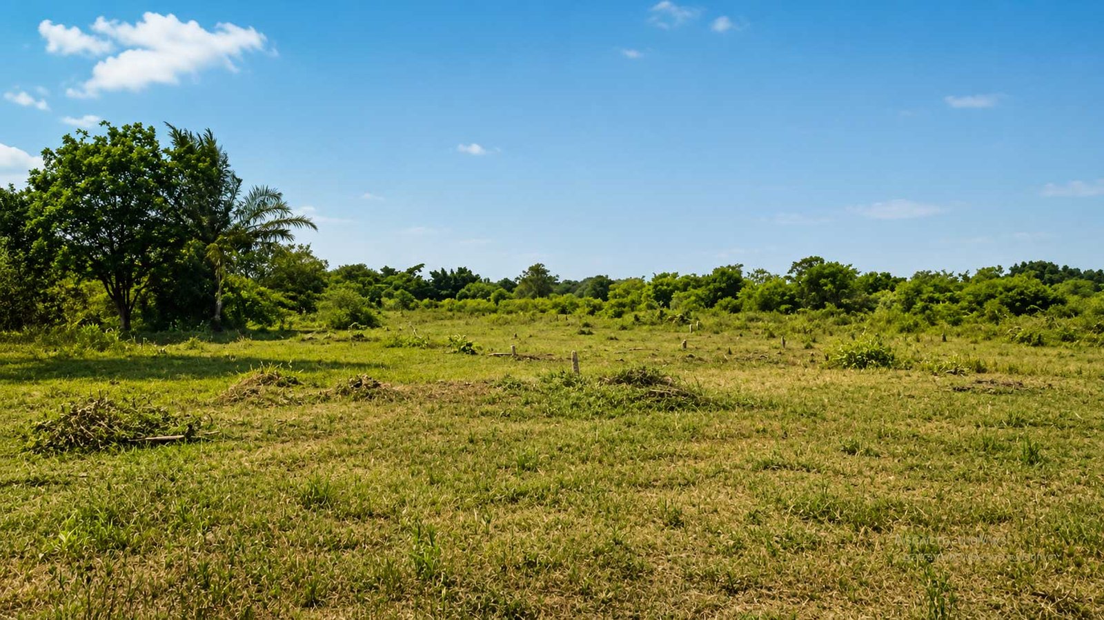 Apam Prime Land