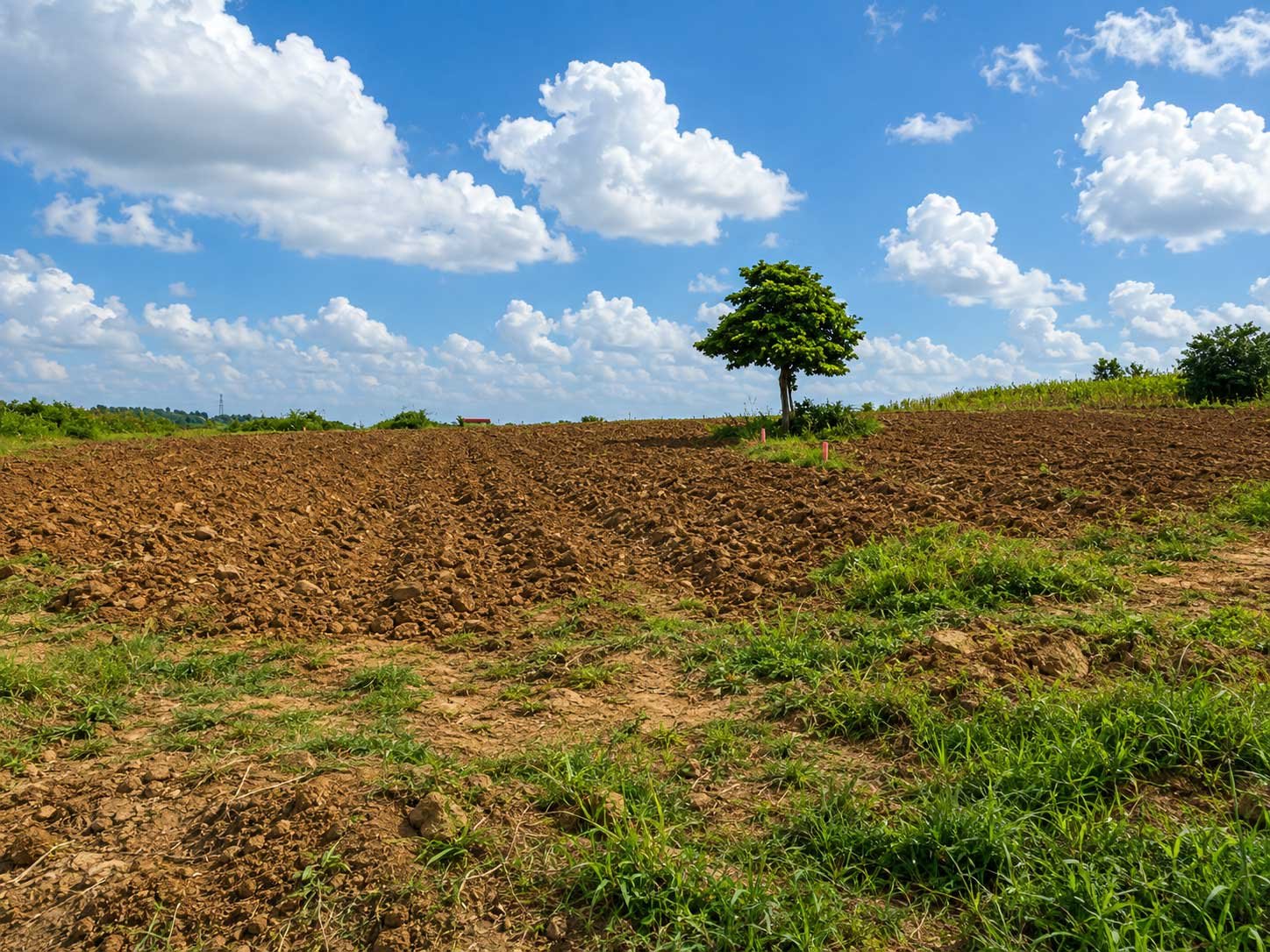 Hobor Prime Land