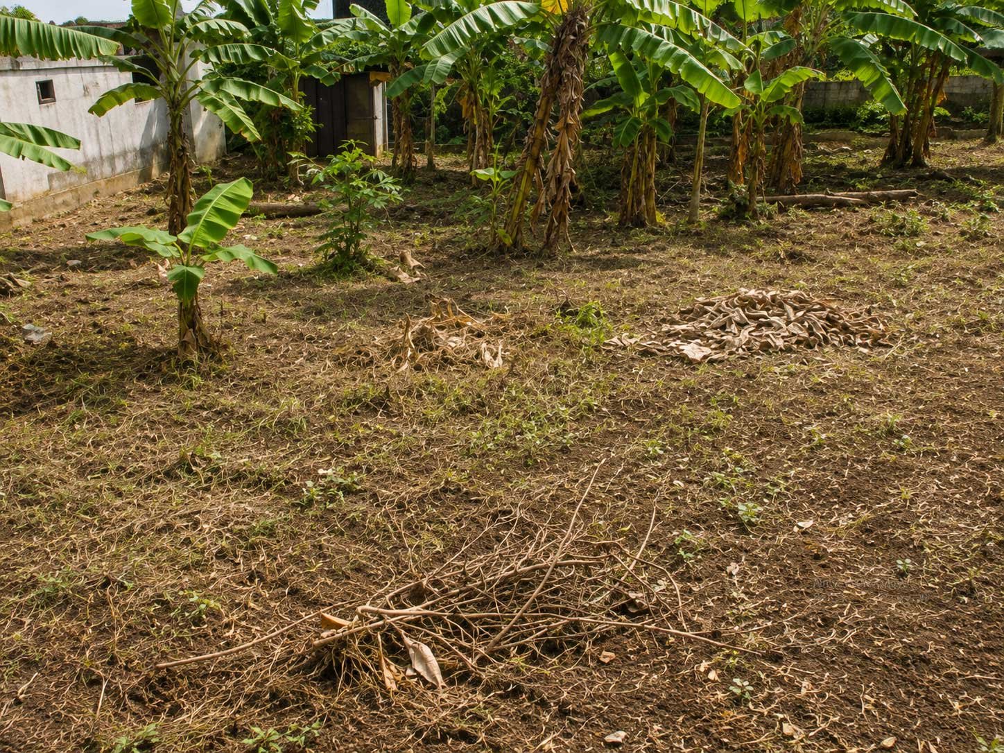 Kwabenya Half Plot
